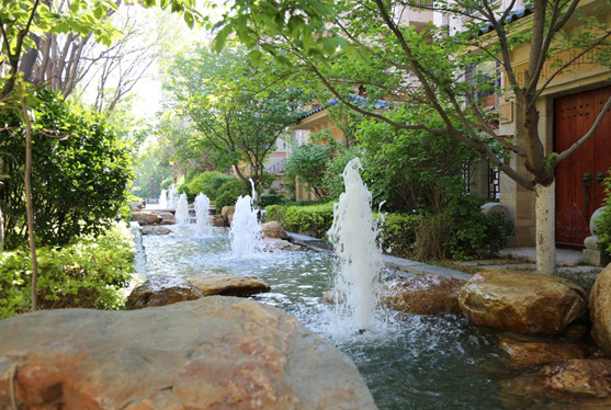 217永信贵宾会集团