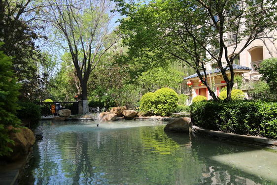 217永信贵宾会集团