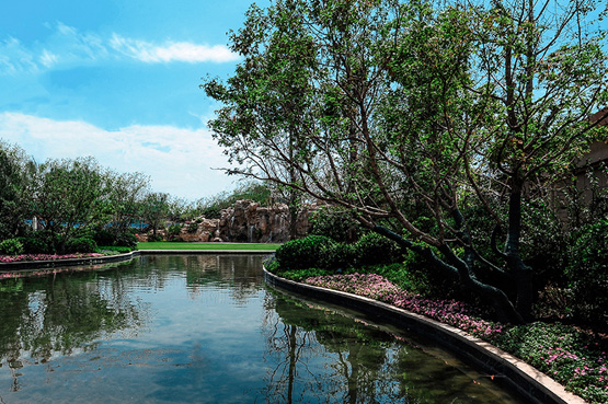 217永信贵宾会集团